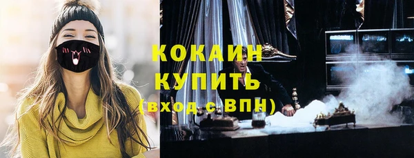 гашик Белокуриха