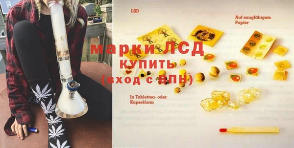 гашик Белокуриха