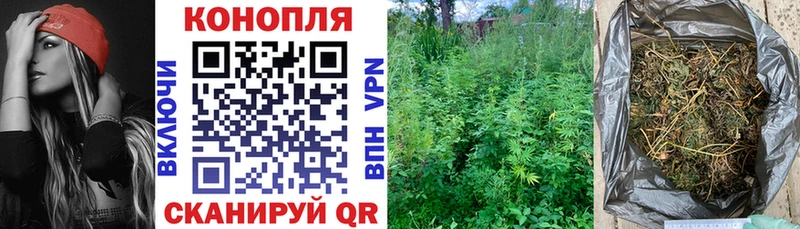 Бошки марихуана сатива  магазин    Мезень 